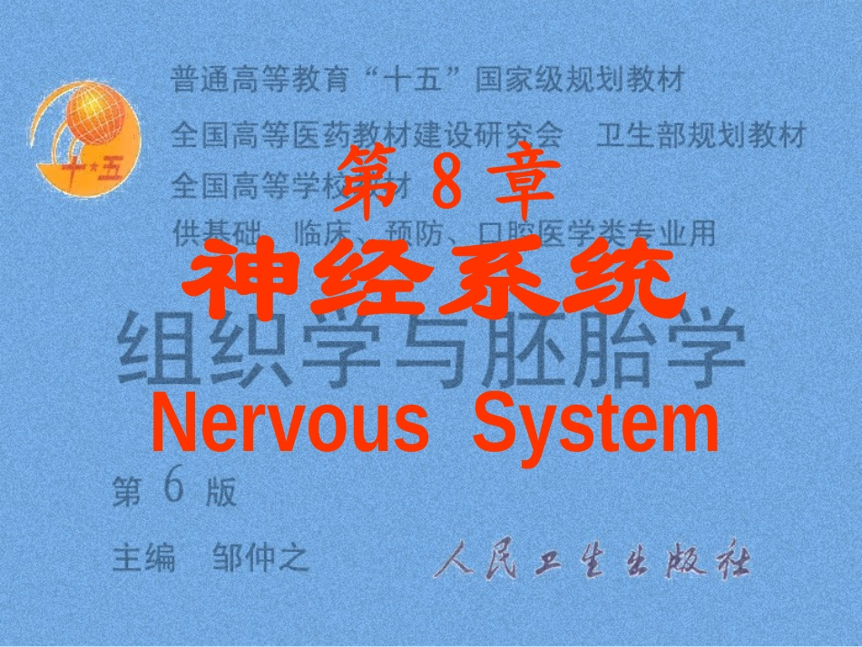 脑神经系统-神经系统_第1页