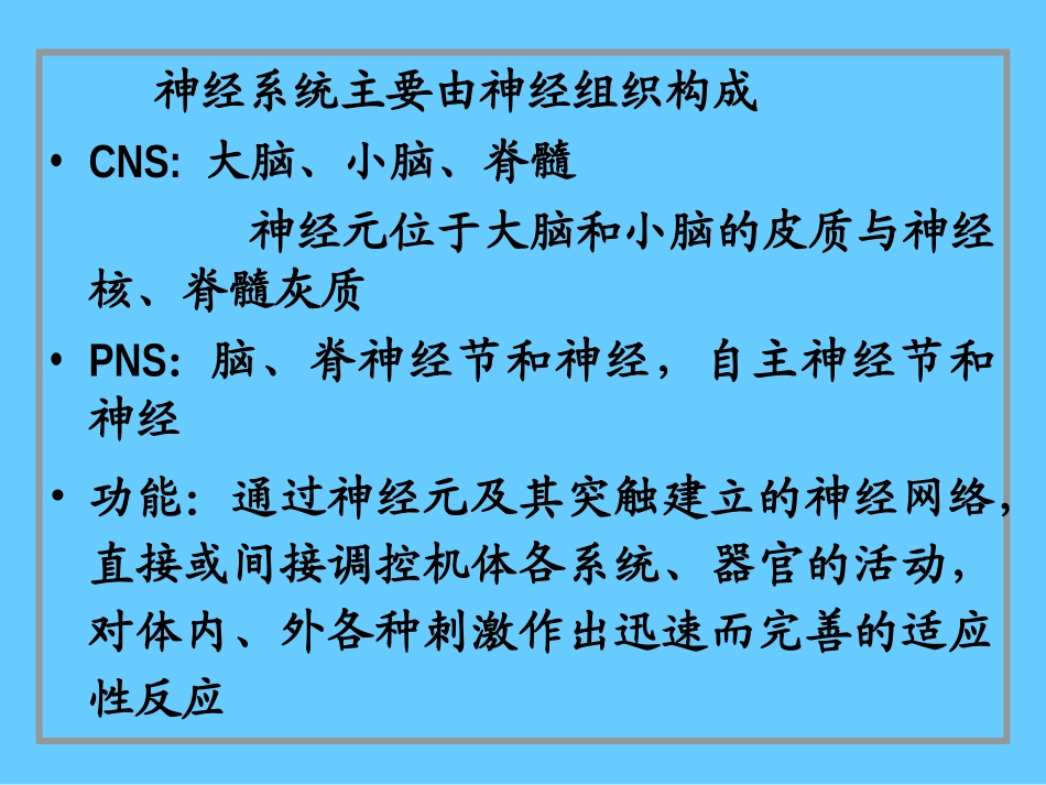 脑神经系统-神经系统_第2页