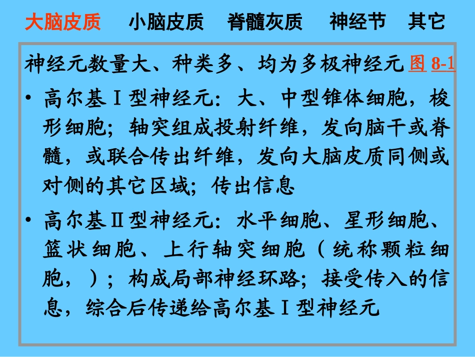 脑神经系统-神经系统_第3页