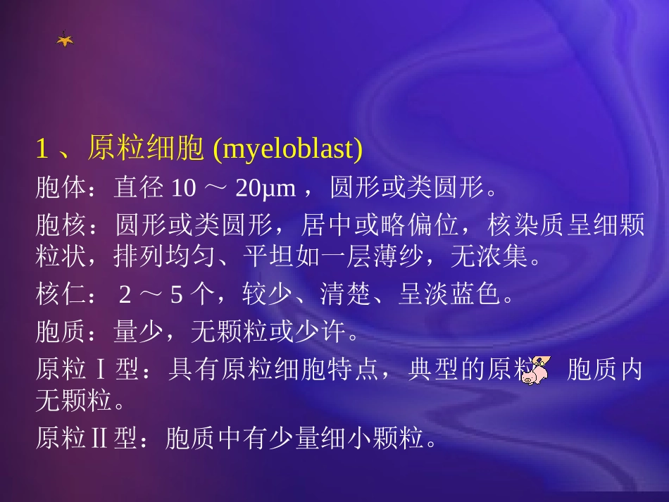 粒系血细胞形态_第3页