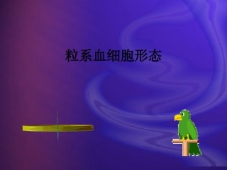 粒系血细胞形态