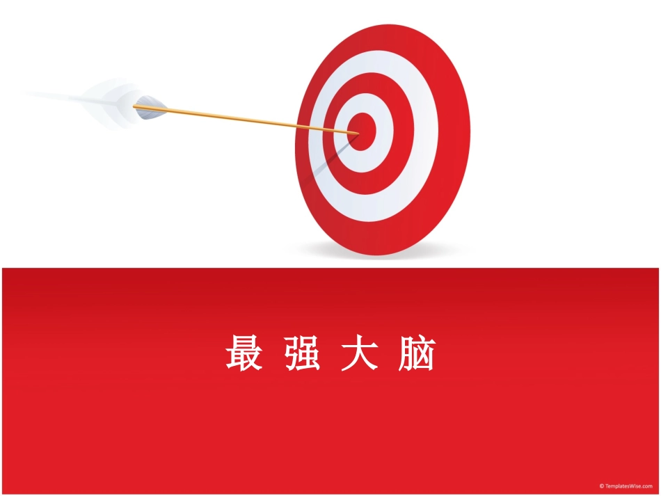 最强大脑节目分析_第1页