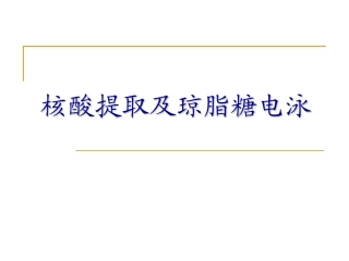 核酸提取及琼脂糖电泳