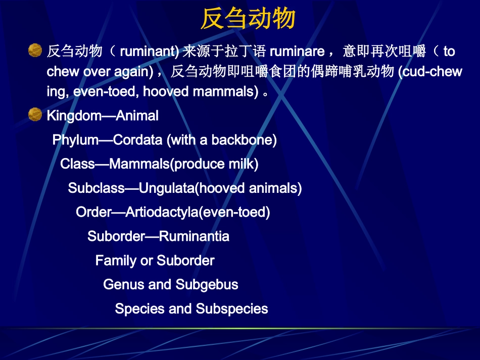 动物的消化、吸收和利用_第2页