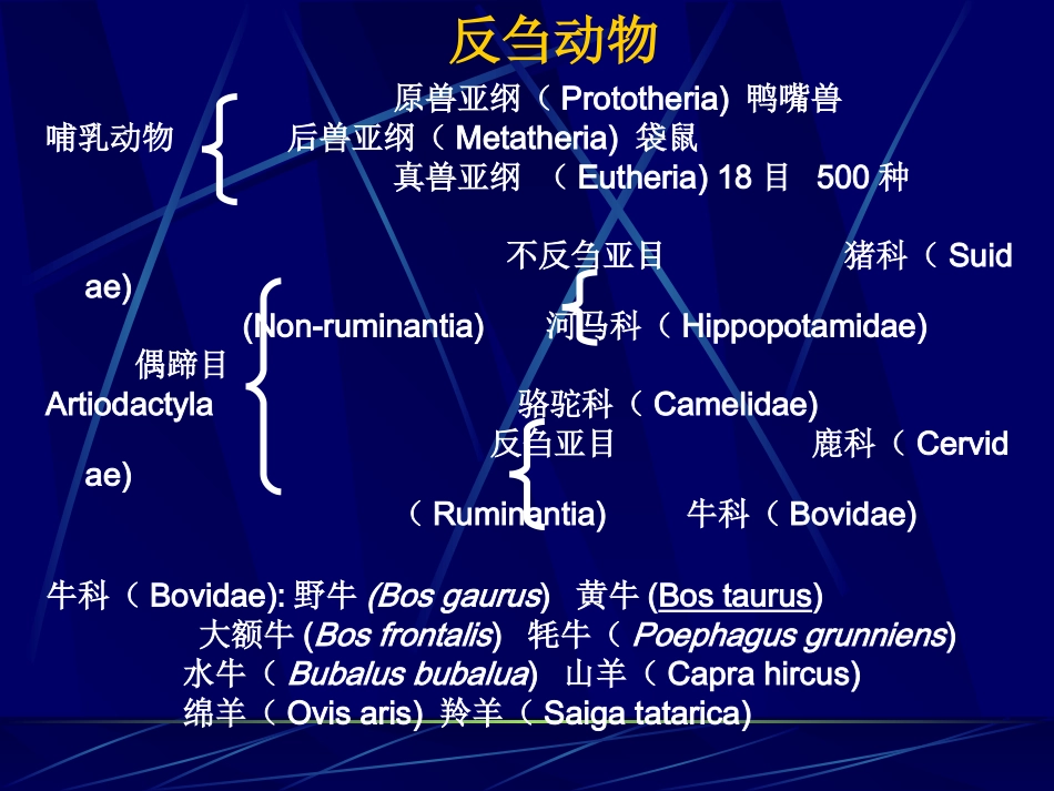 动物的消化、吸收和利用_第3页