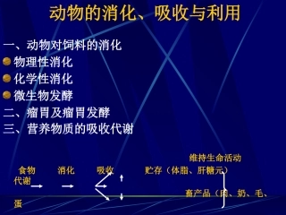 动物的消化、吸收和利用