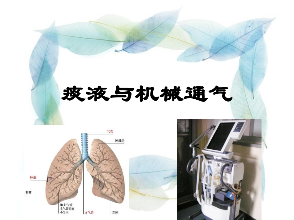 痰液与机械通气_第1页