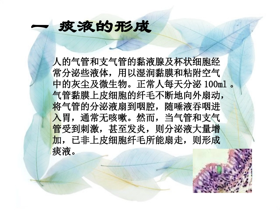 痰液与机械通气_第3页