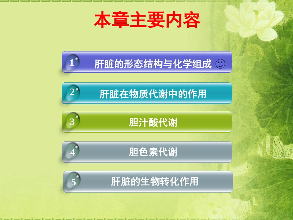 第十九章  肝胆生化-生物化学课件_第3页