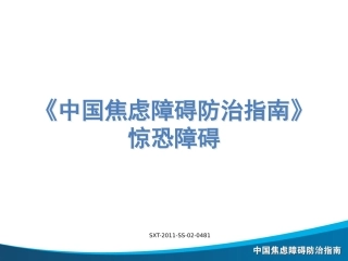 BG-闫俊--惊恐障碍诊治-SXT-2011-SS-02-0481