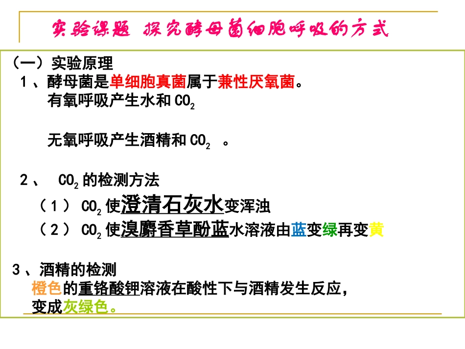 学考复习细胞呼吸与光合作用_第3页
