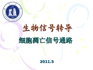 细胞凋亡信号通路详细