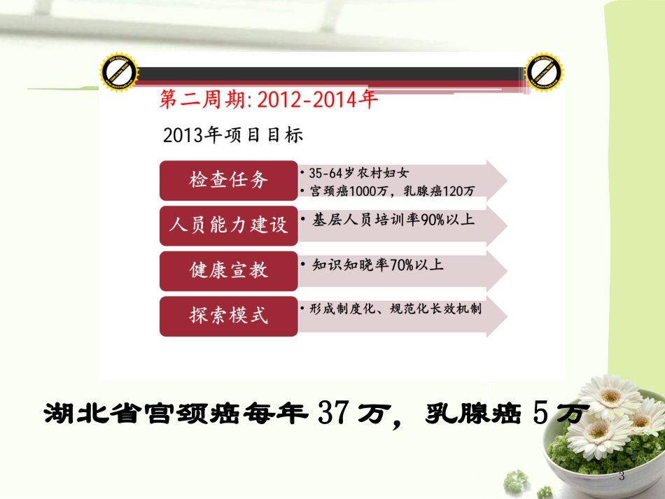 农村妇女两癌检查项目数据分析_第3页