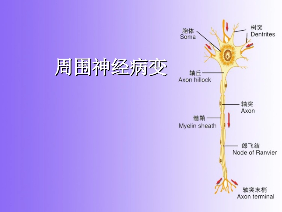 周围神经病变-oyf制作_第2页