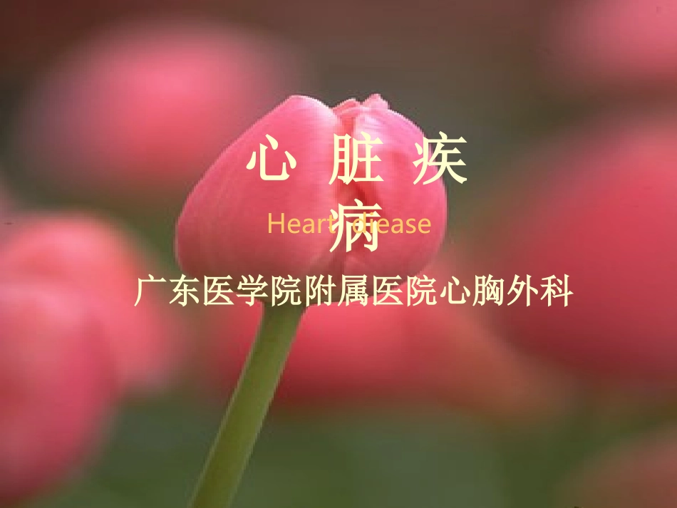 心-脏-疾-病a_第1页