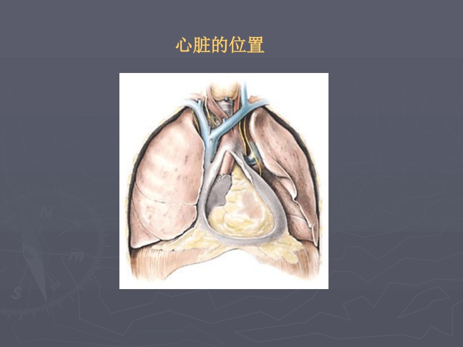 心-脏-疾-病a_第2页