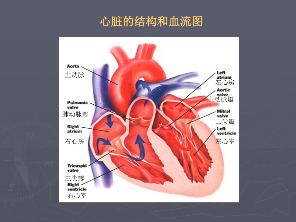 心-脏-疾-病a_第3页