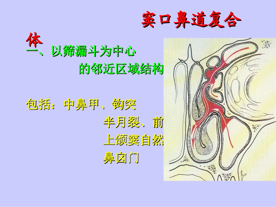 鼻腔鼻窦解剖变异_第3页