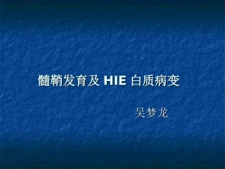 髓鞘发育及HIE白质病变