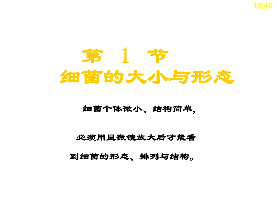 PPT第1章细菌的形态与结构_第3页