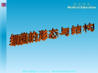 PPT第1章细菌的形态与结构