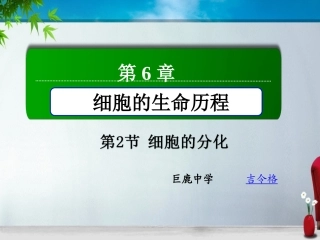 公开课细胞分化讲课.ppt