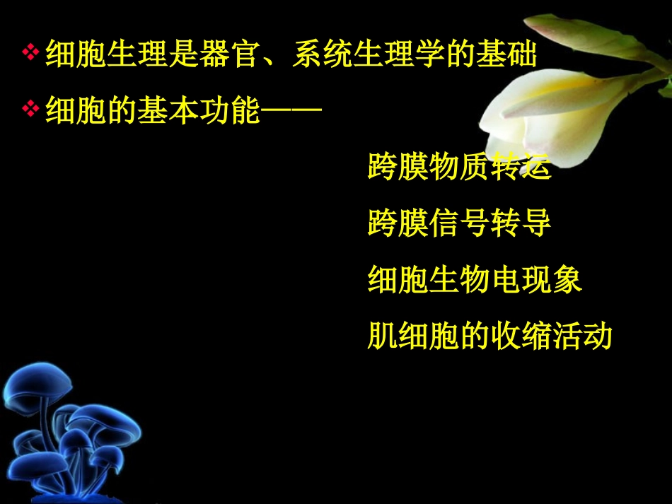 第二章 细胞的基本功能_第2页