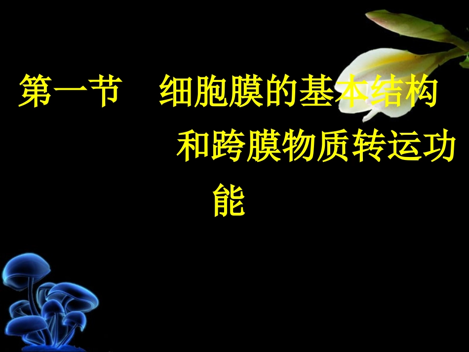 第二章 细胞的基本功能_第3页