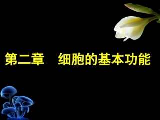 第二章 细胞的基本功能