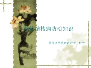 结核病基本知识知道