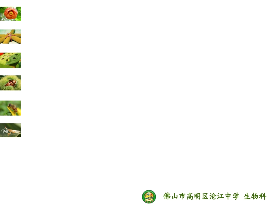 分泌消化液-沧江中学_第1页