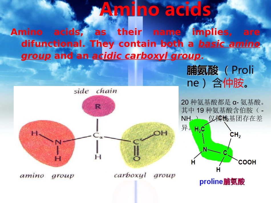 蛋白质英文课件protein_第2页