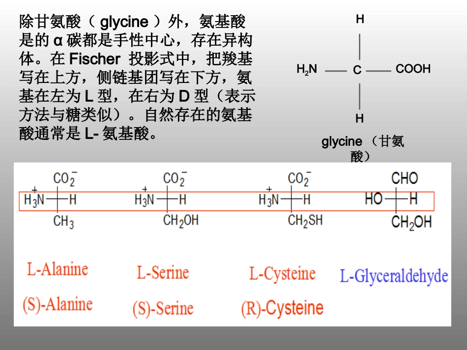 蛋白质英文课件protein_第3页