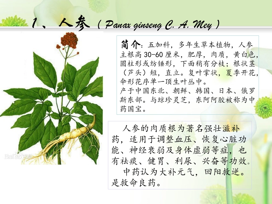 具有强壮作用的中草药_第2页