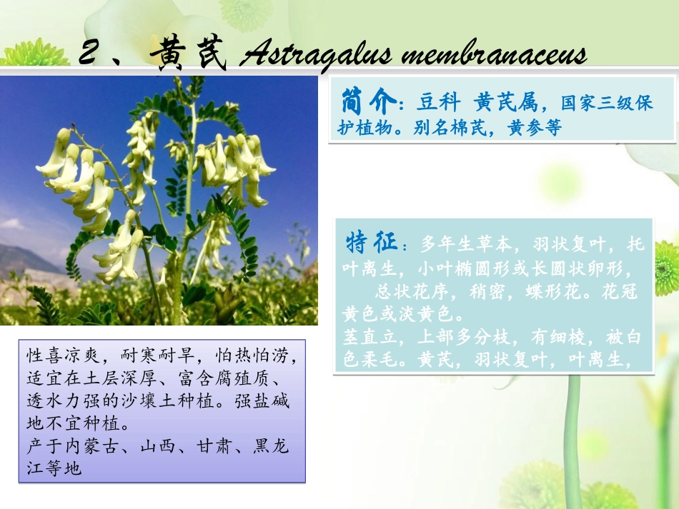 具有强壮作用的中草药_第3页