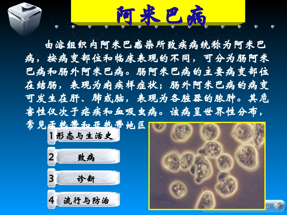 寄生虫-阿米巴_第2页