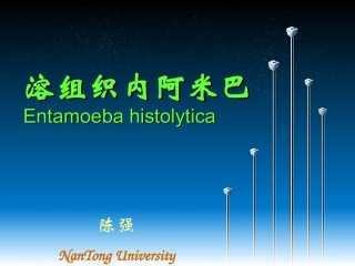 寄生虫-阿米巴