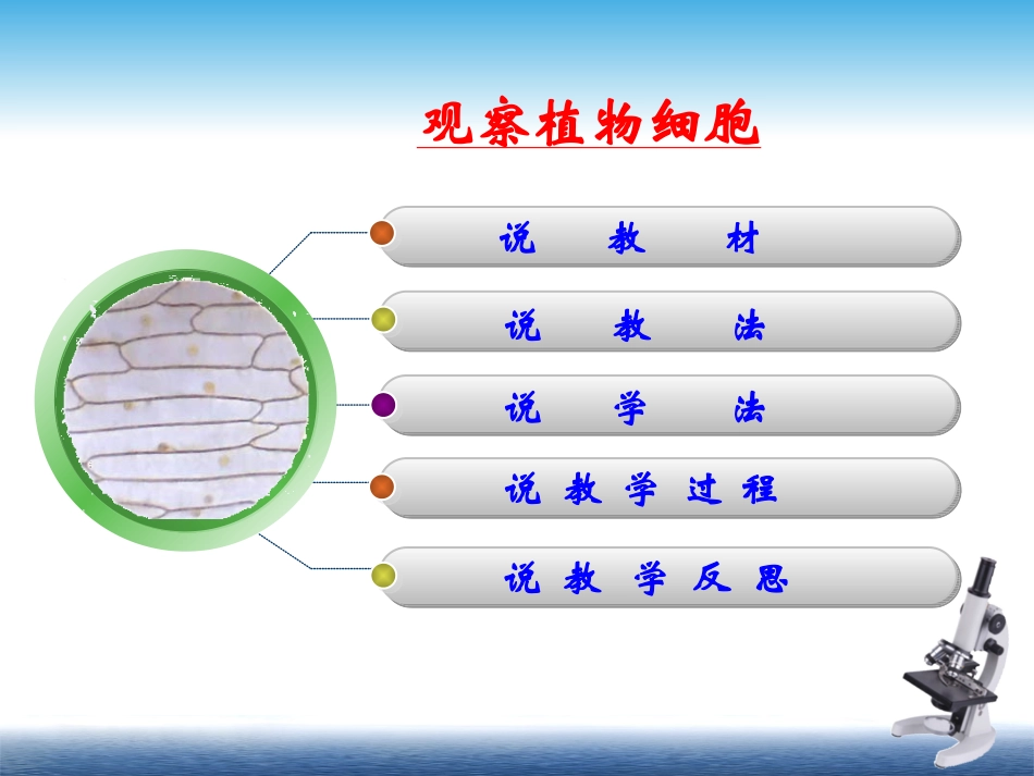 制作洋葱鳞片叶表皮观察植物细胞_第2页