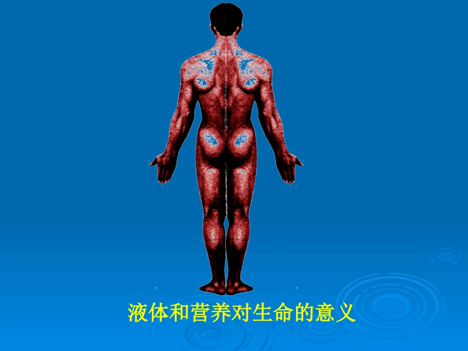 外科输液与营养_第3页