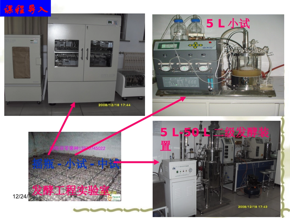 第4章 酒母扩培工艺_第3页