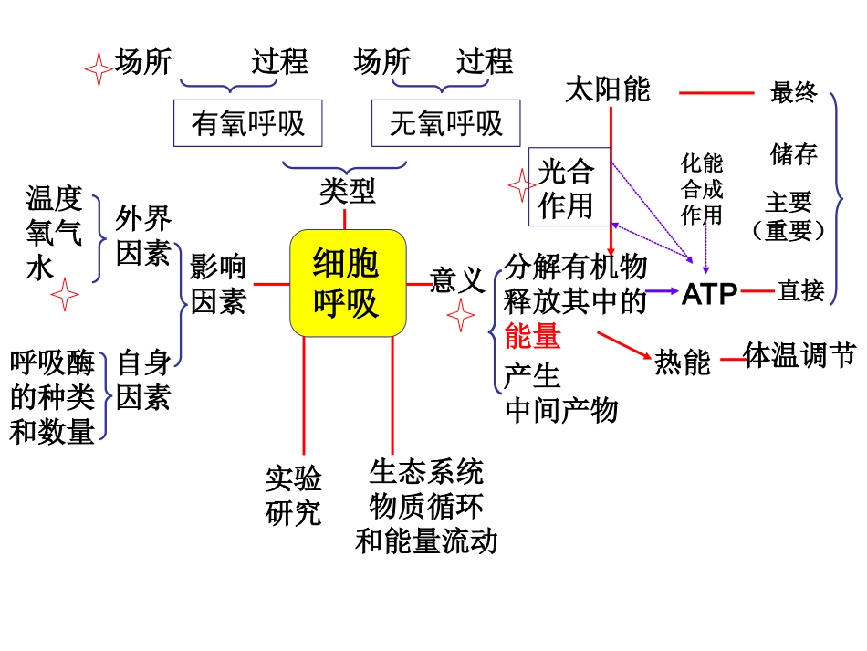 人教版教学课件《细胞呼吸》复习课件_第2页