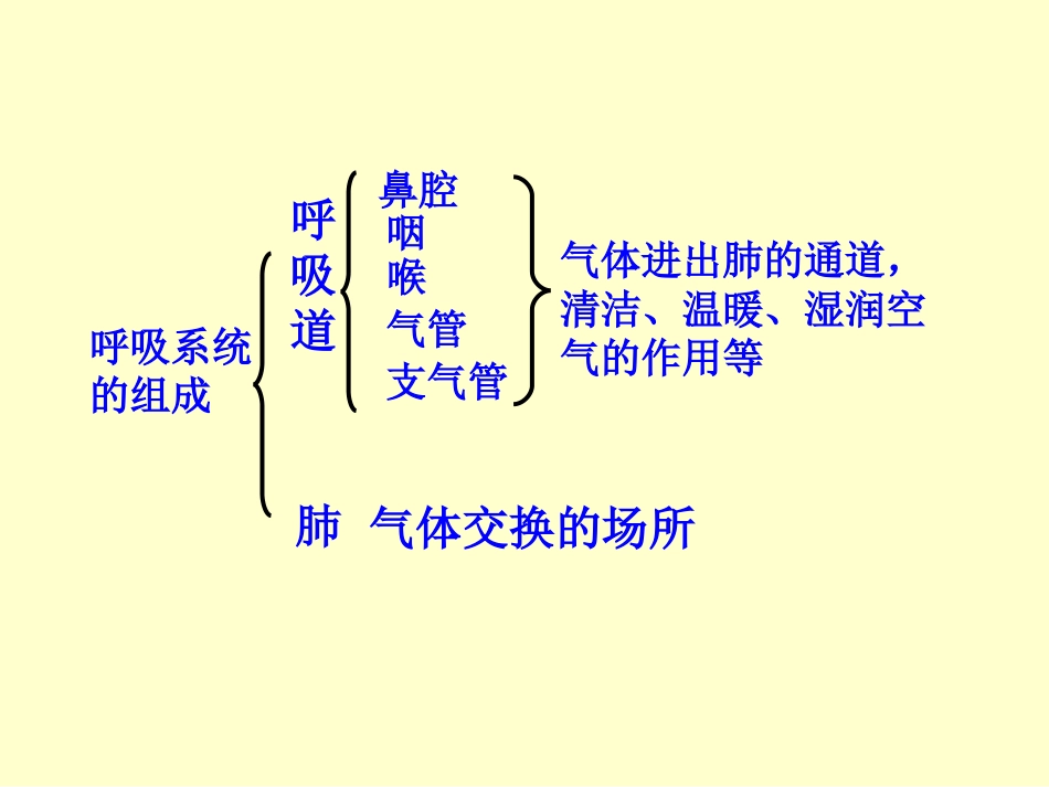 人体与外界的气体交换_第3页