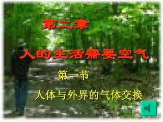 人体与外界的气体交换