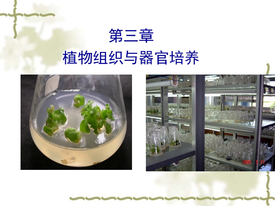 植物组织与细胞培养_第1页