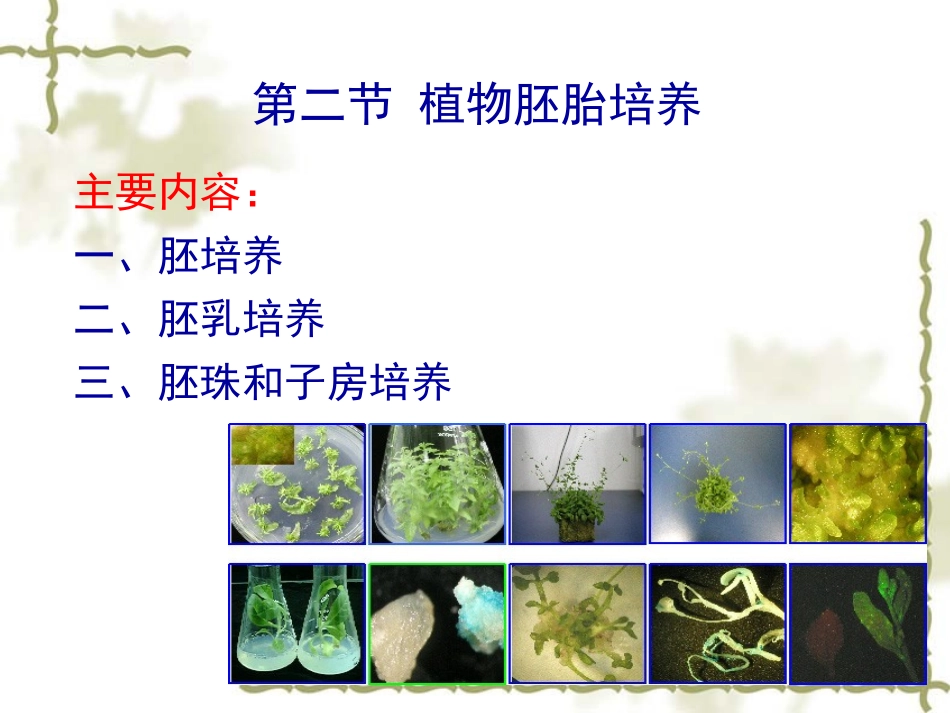 植物组织与细胞培养_第3页