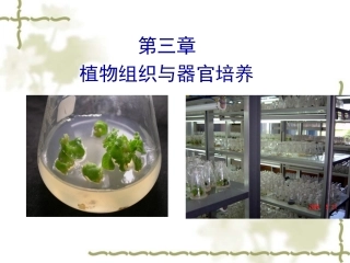 植物组织与细胞培养