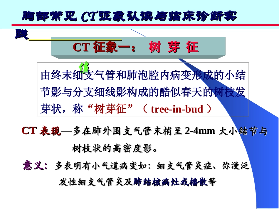 胸部常见CT征象_第3页