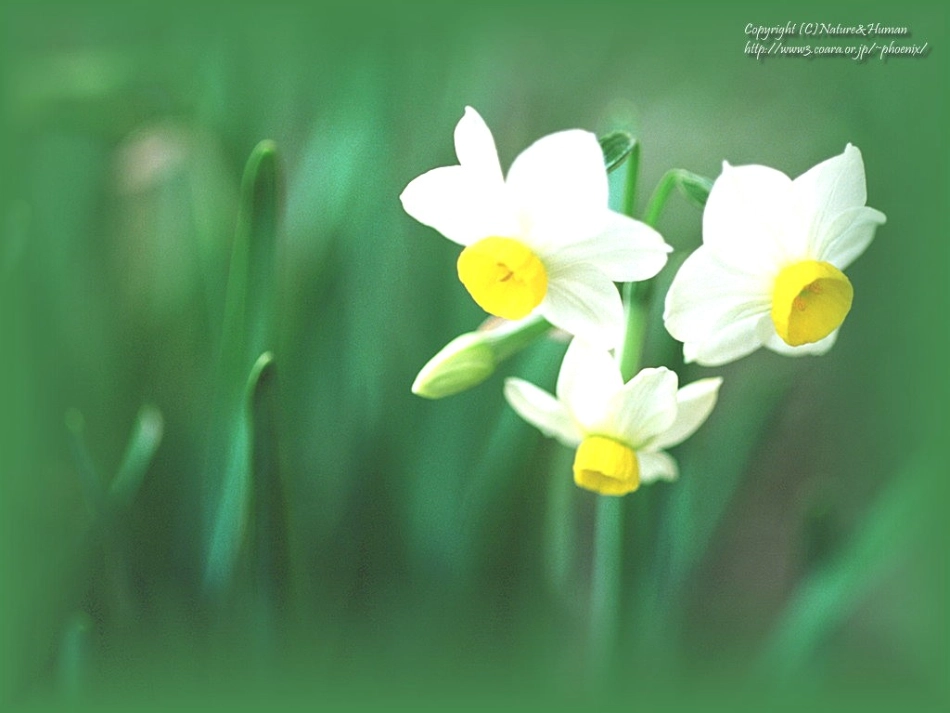 传染病(结核病)2_第1页