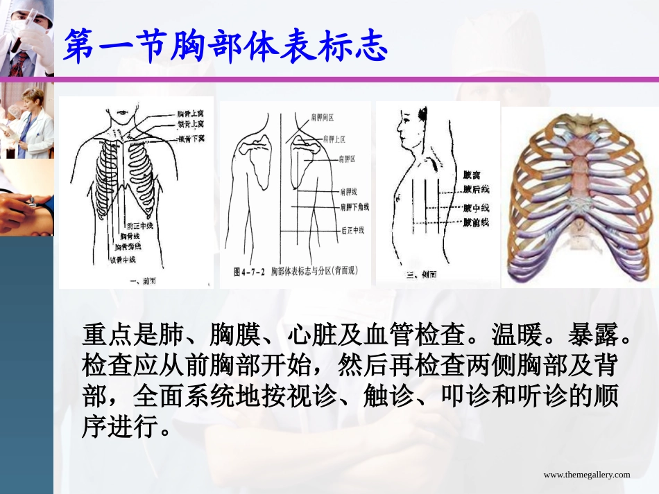 胸廓.肺部视、触诊_第2页