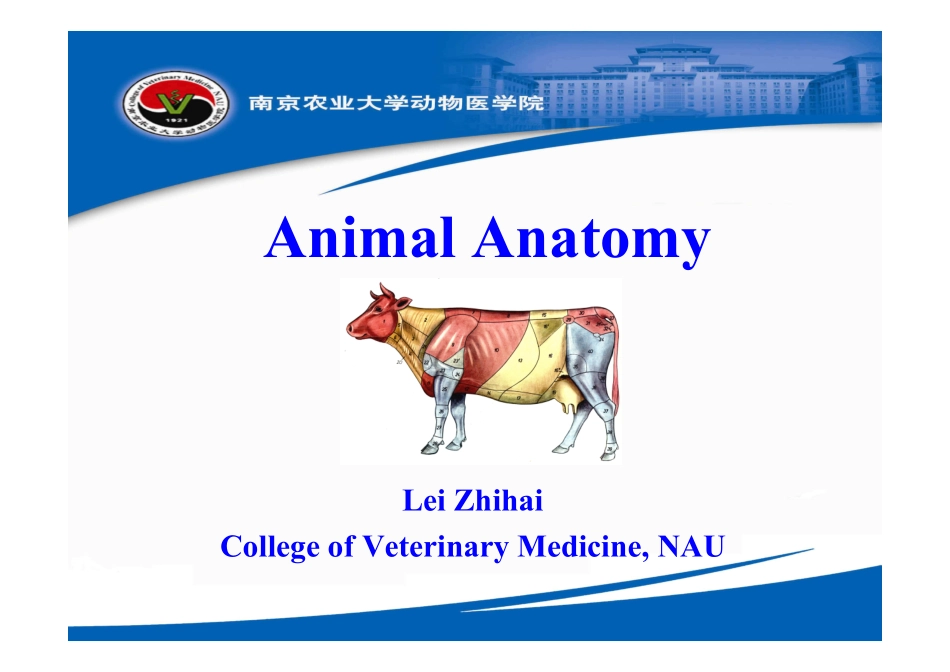 动物解剖学-皮肤_第1页